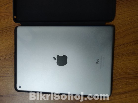 iPad Air